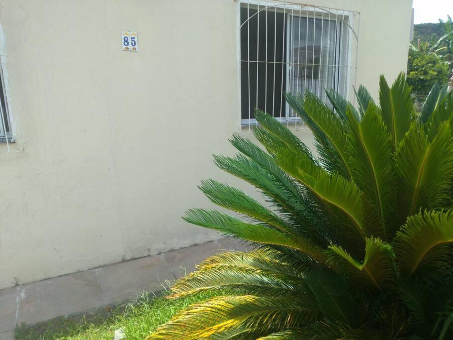 Casa Agradavel Em Camboriu Com Estacionamento No Patio Villa Eksteriør billede